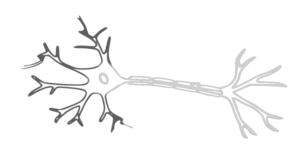 Dendrites