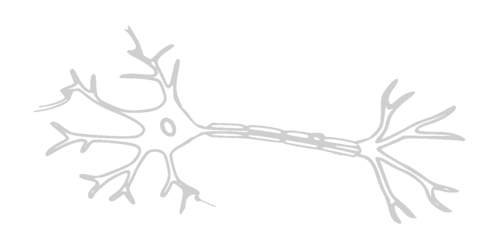 Neuron